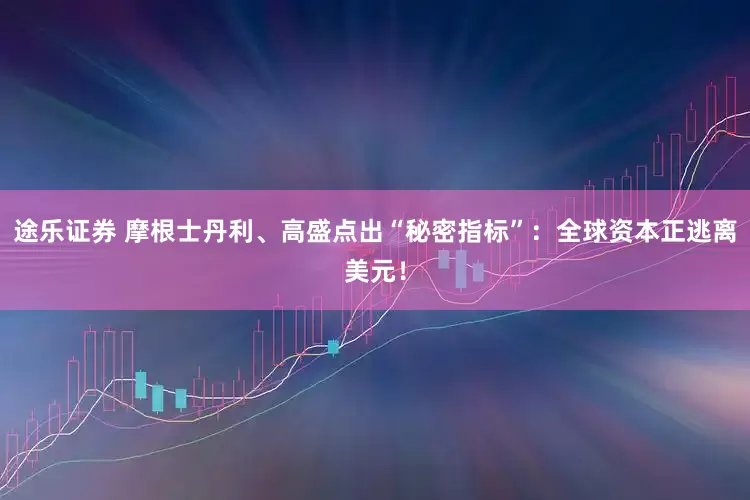 途乐证券 摩根士丹利、高盛点出“秘密指标”：全球资本正逃离美元！