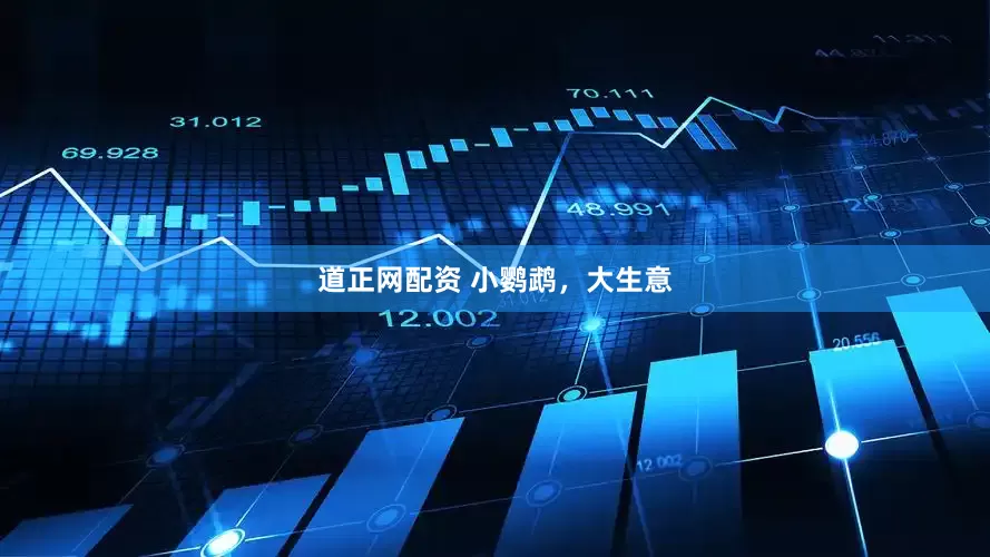 道正网配资 小鹦鹉，大生意
