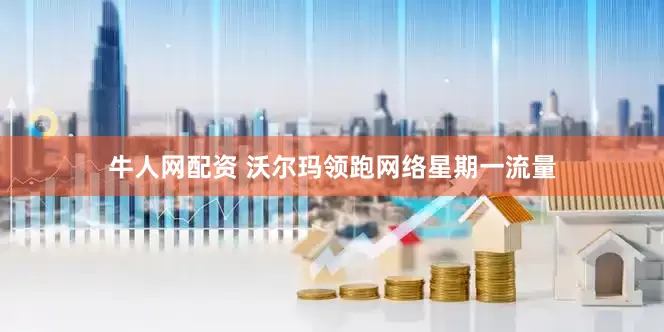 牛人网配资 沃尔玛领跑网络星期一流量
