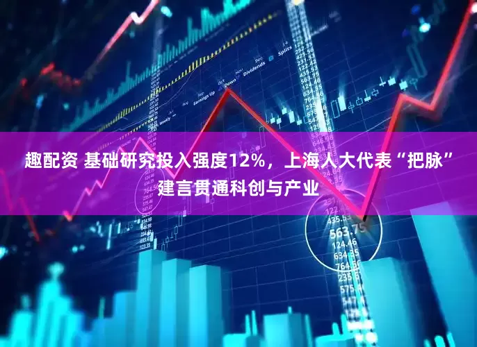 趣配资 基础研究投入强度12%，上海人大代表“把脉”建言贯通科创与产业